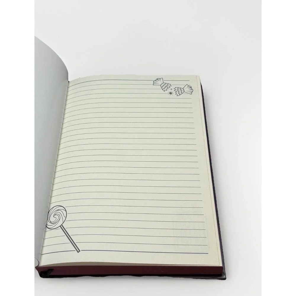 Harry Potter Accio Box Magic Delivered Sweets and Treats Journal
